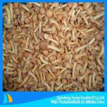 high nutritional value vegetable frozen nameko mushroom